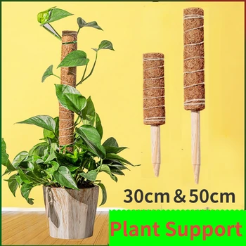 30cm Растение катерене Coir тотем полюс безопасно градинарство кокосови стик за увивни растения лозя и пълзящи растения подкрепа на растенията