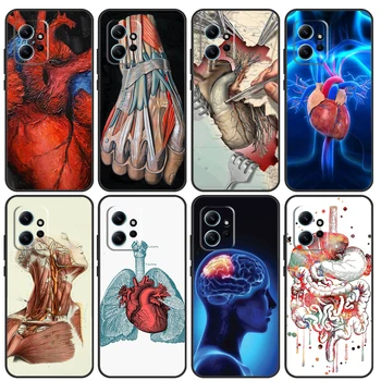 Медицински човешки органи меридиан изкуство за Xiaomi Redmi бележка 12 11 10 9 Pro 9S 10S 11S 12S телефон случай за Redmi 12 9C 10C 12C 13C